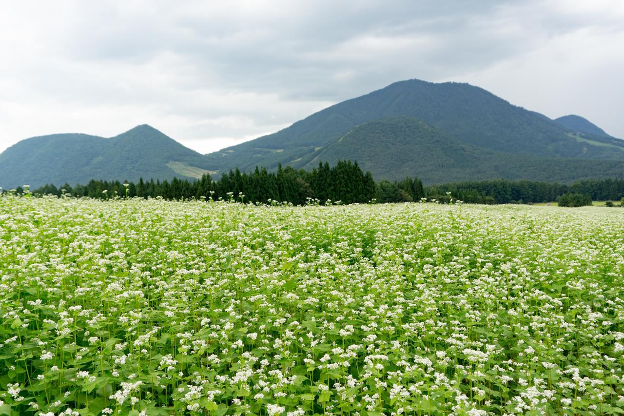 Bed and Breakfast Aibiya Yamanouchi  Esterno foto